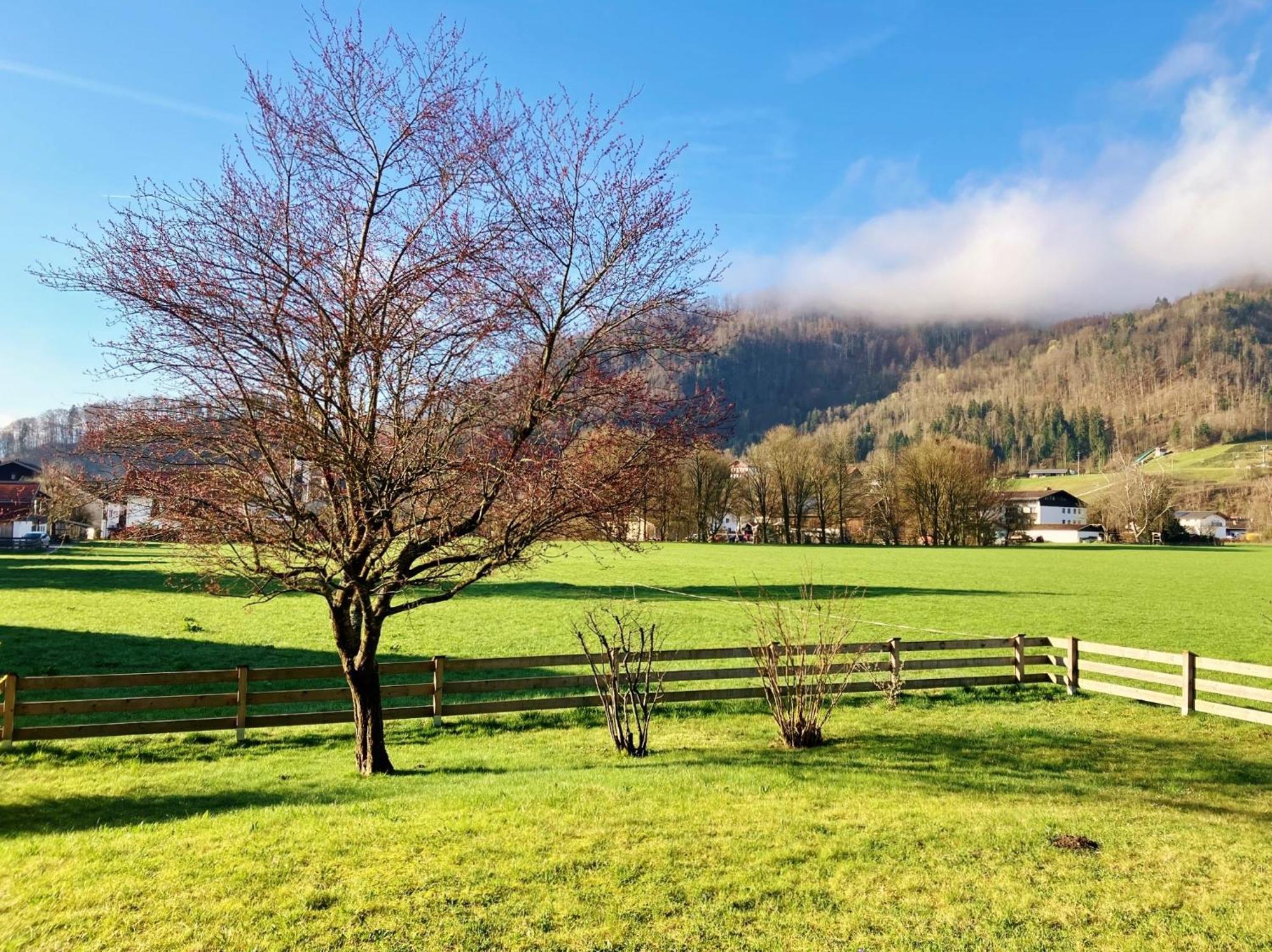 Open Garden Mountain Lodge Oberaudorf Eksteriør bilde